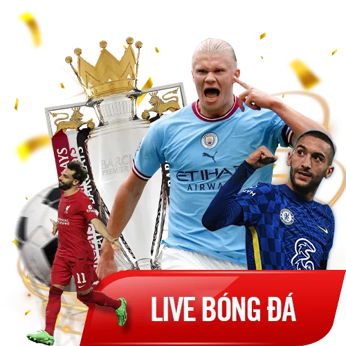 live-bong-da-w81